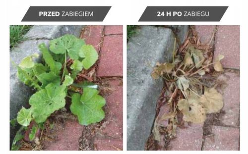 EFFECT 24H 680 EC 1000 ML ZWALCZA CHWASTY MECH na Arena.pl