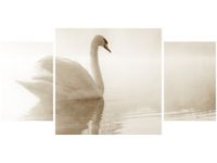 80X40CM DELIKATNY ŁABĘDŹ TRÓJ OBRAZ