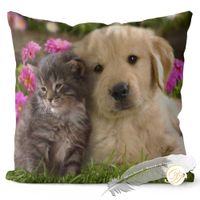 product-compare-58716805