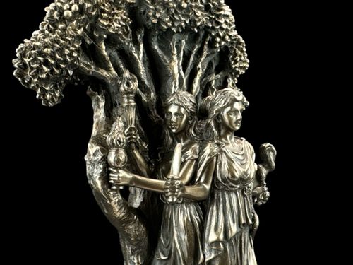 BOGINI HECATE VERONESE WU77937A1 na Arena.pl