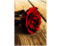 product-compare-58655414