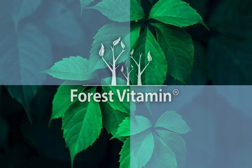 SPERMIDYNA 15g CZYSTA SPERMIDYNE TRICHLOROWODOREK SPERMIDYNY 600 PORCJI na Arena.pl