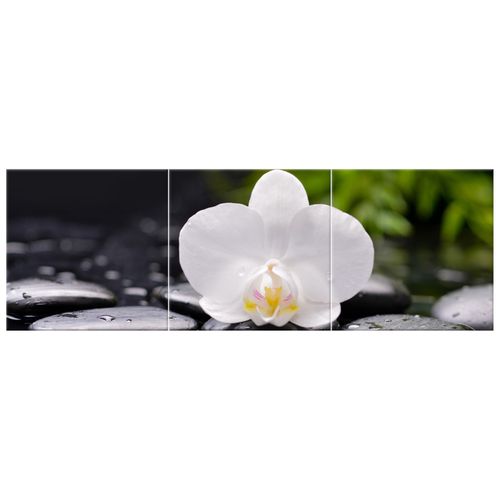 Foto-Obraz 150X50 Biała Orchidea na Arena.pl