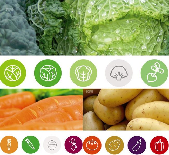 AZOPLON NPK 10-5-5 4kg NAWÓZ AZOT FOSFOR POTAS DO PLONVIT ADOB UNIWERSALNY zdjęcie 5