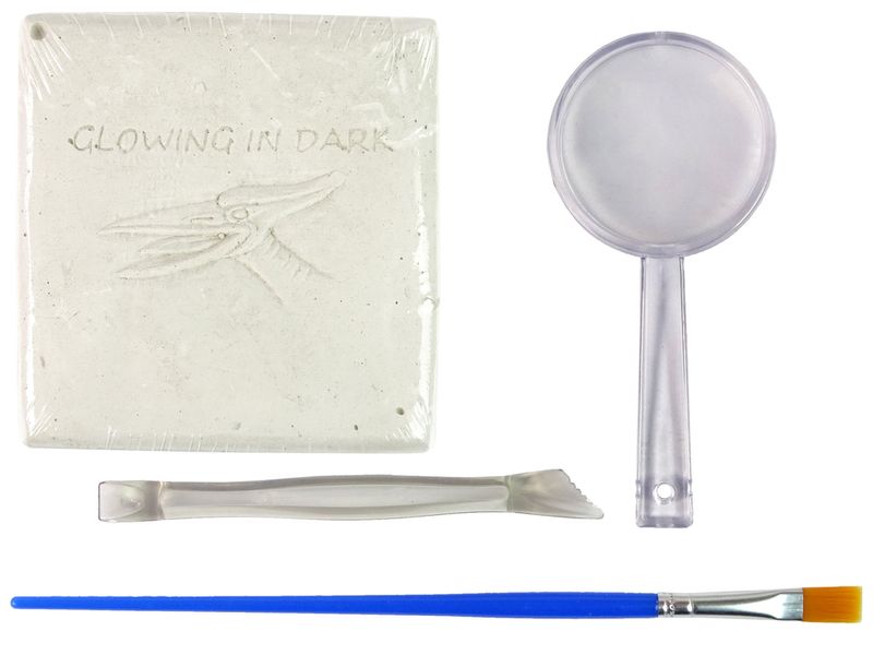 Zestaw Archeologiczny Wykopaliska Dinozaur Szkielet Pteranodon zdjęcie 2