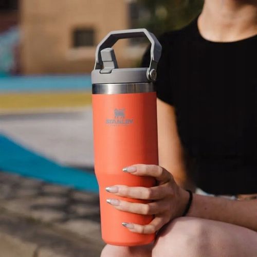 KUBEK STANLEY The IceFlow Flip Straw Tumbler 0.89L / 30oz bidon butelka na Arena.pl