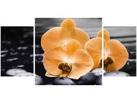 product-compare-58644225