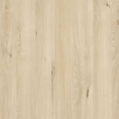 Witryna niska ALLON na Arena.pl