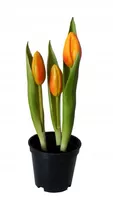 TULIPANY GUMOWE jak ŻYWE w doniczce TULIPAN POMARAŃCZOWY