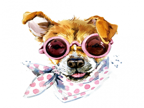 OBRAZ MOZAIKA  HAFT PIES na Arena.pl