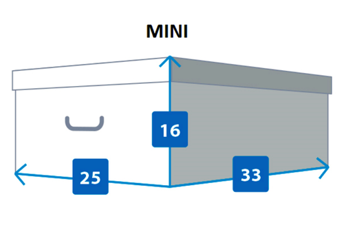 Pudełko kartonowe MINI KOTKI PERS na Arena.pl