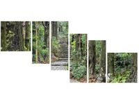 OBRAZ JAPOŃSKA ŚCIEŻKA PRZEZ LAS