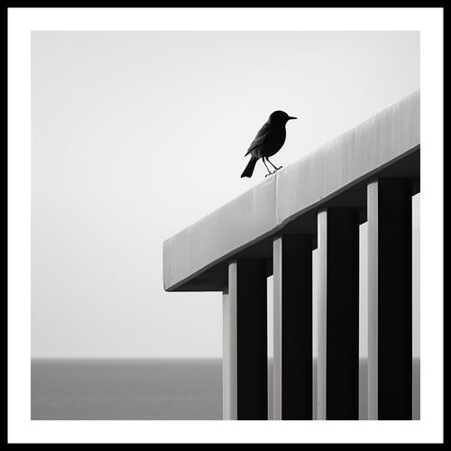 Plakat 50x50cm Samotna Odchłań na Arena.pl