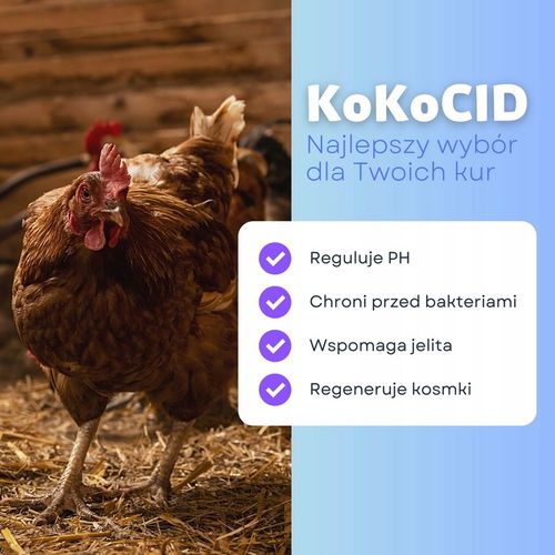 KokoCID 1 kg+GRATIS zakwaszacz dla drobiu muszle na Arena.pl