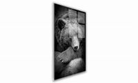 OBRAZ NA SZKLE PROSTOKĄTNY 20x30cm 003 Niedźwiedź