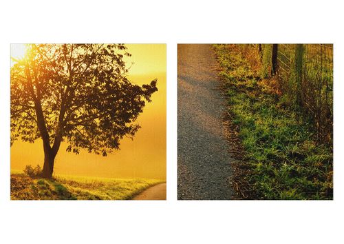 Obraz Na Płótnie - Droga Pole Łąka - 160X85 Cm - Ea160X85-3851 na Arena.pl