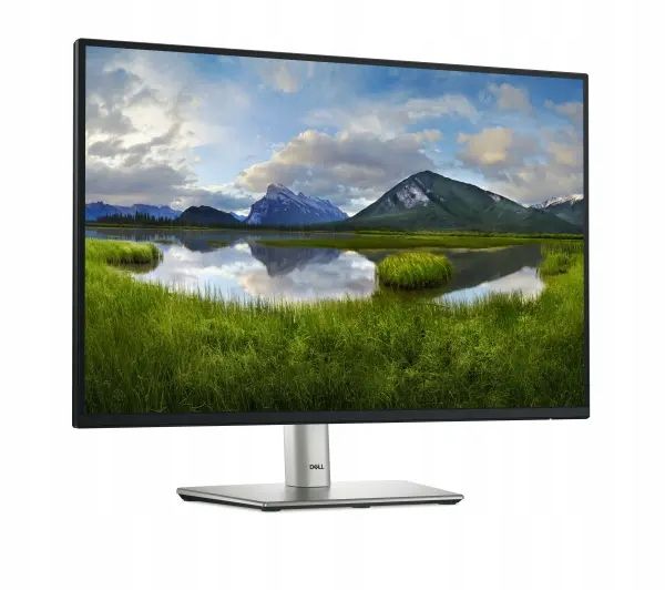 Monitor 24 cale Dell P2425E Full HD IPS 100Hz 5ms PIVOT zdjęcie 10
