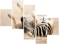 100 75CM OBRAZ 5 ELEM ZEBRA ŚCIENNY