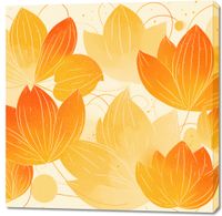 product-compare-59577165