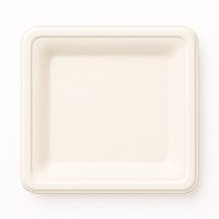talerz kwadratowy 20cm z pulpy trzcinowej guillin 50szt