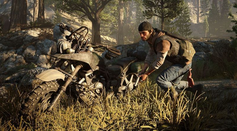 Gra PS4 Days Gone (Kompatybilna z PS5) zdjęcie 5