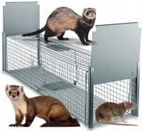 ŻYWOŁAPKA, PUŁAPKA NA KUNY, LISY, KOTY, NORKI, ŁASKI, WYDRY POLSKA