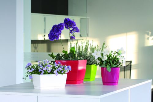 Doniczka COUBI DUKP135 z podstawką | Biały, Kształt Kwadratowy, Wymiary 13.5x13.5x12.4 cm, Kolor Biały, Prosperplast na Arena.pl