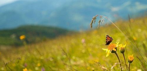 Aparat cyfrowy KODAK FZ152 Zoom x15 Czarny na Arena.pl