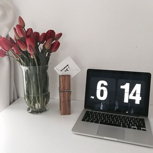 Mega spinacz clipper - drewno dębowe na Arena.pl