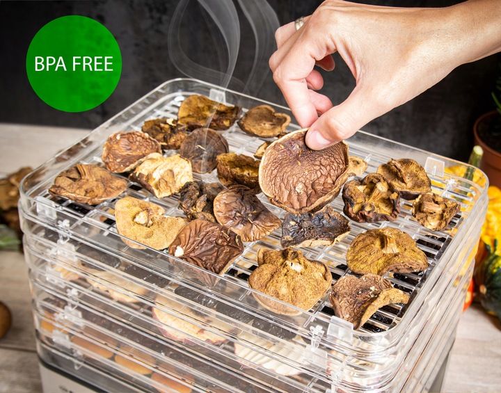 Suszarka do grzybów owoców DEHYDRATOR FIRST 240W First Austria zdjęcie 6