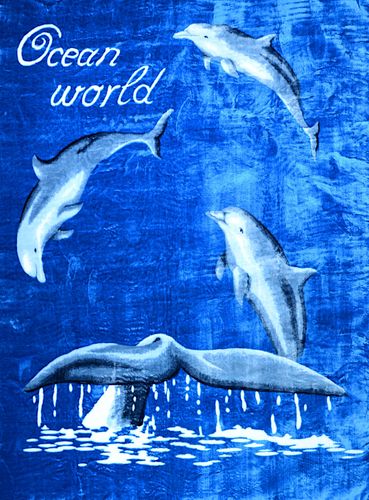 Gruby Koc Akrylowy 160X210 Delfiny 18796 na Arena.pl