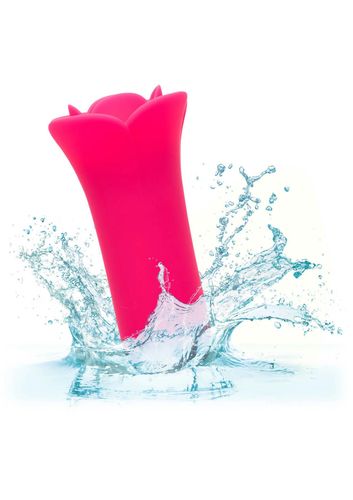 Lily Licker Mini Flower Flicker na Arena.pl