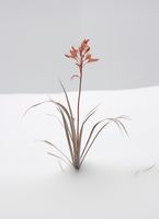 product-compare-59356737