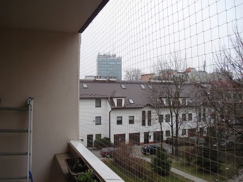 SIATKA ZABEZPIECZAJĄCA NA BALKON DLA KOTA PRZECIWKO PTAKOM 2x3m na Arena.pl
