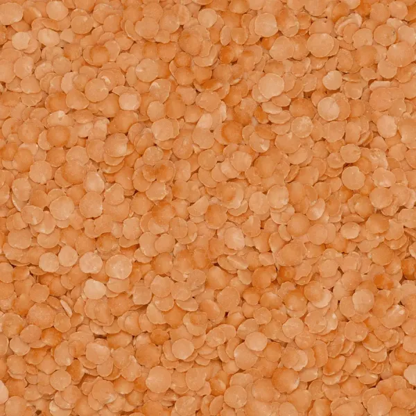 Soczewica czerwona 500g zdjęcie 3