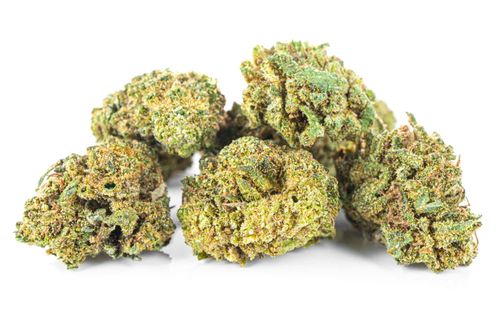 CBD SUSZ KONOPNY DIESEL PREMIUM PRODUKT NATURALNY 10 g na Arena.pl