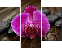 product-compare-58710595