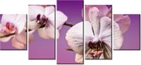 70CM 150CM OBRAZ 5 ELEM KWIATY ŚCIENNY