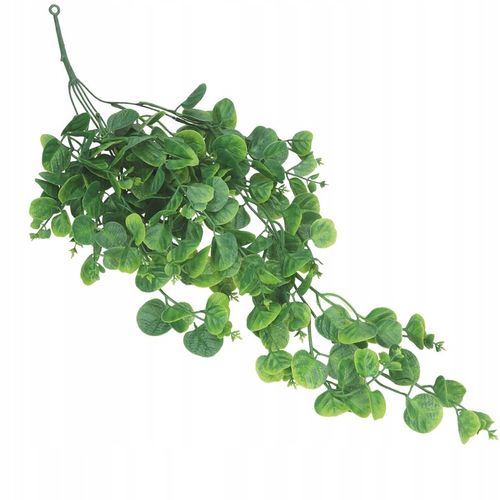 EUKALIPTUS ZWISAJĄCE GĘSTE PNĄCZE GAŁĄZKI KASKADA GIRLANDA BLUSZCZ 5gał na Arena.pl