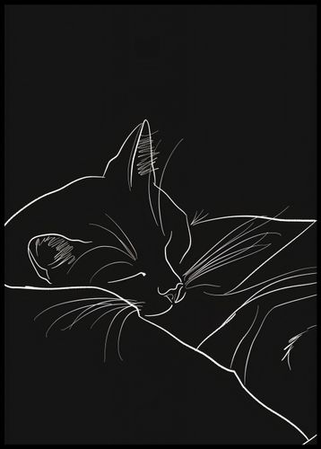 Plakat 67,5x95cm Nocny Spokój na Arena.pl