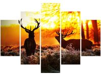 105CM 150CM OBRAZ 5 ELEM RYKOWISKO DRUK