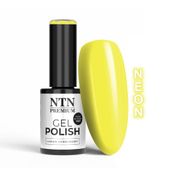 Lakier hybrydowy NTN Premium California Collection 5g Nr 143