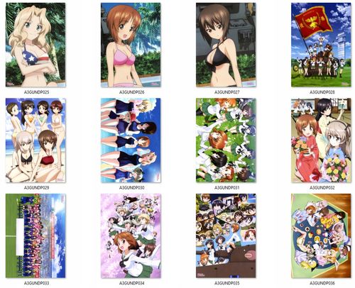 Plakat GIRLS und PANZER DO WYBORU na Arena.pl