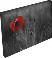 OBRAZ KWIATY do salonu pokoju sypialni 120x80