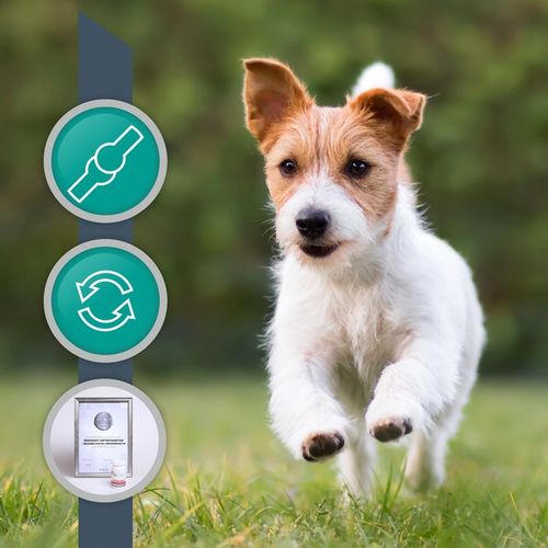 Preparat dla psów i kotów na stawy Vet Expert Arthrovet 60 tabletek na Arena.pl