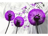 120CM 80CM OBRAZ ŚCIENNY DMUCHAWCE FIOLECIE