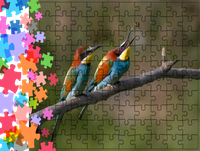 Puzzle tradycyjne Zwierzęta - Ptak