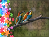 Puzzle tradycyjne Zwierzęta - Ptak