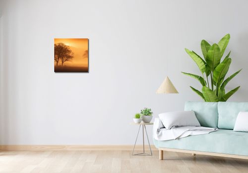 Obraz 40x40cm Zmierzch nad Polanami na Arena.pl