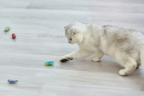 2x Karaluch robak insekt jak hexbug La Cucaracha Zabawka dla kota 4xBateria na Arena.pl